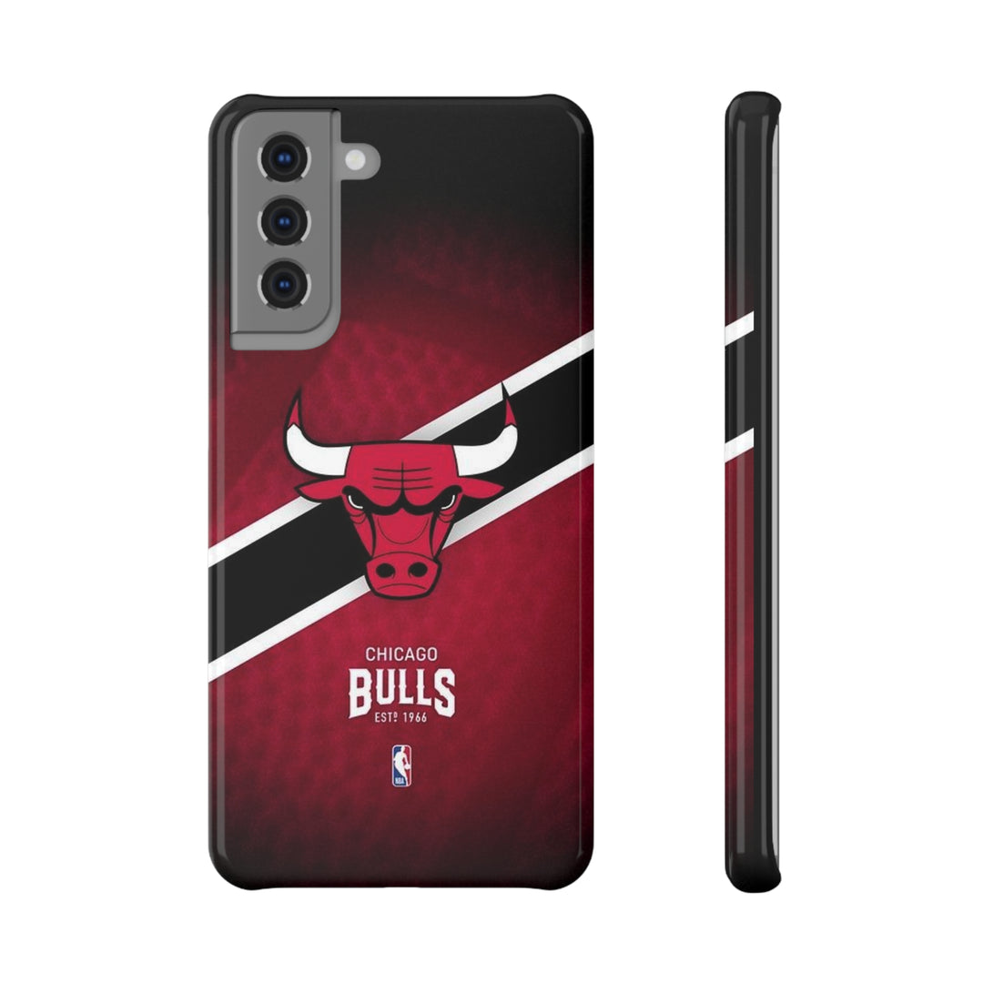 Chicago Bulls